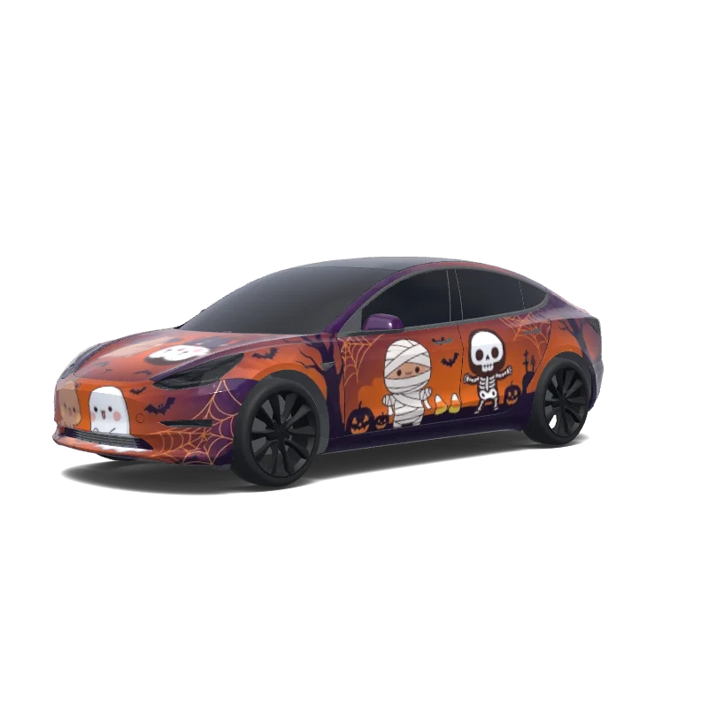  — Model 3 wrap